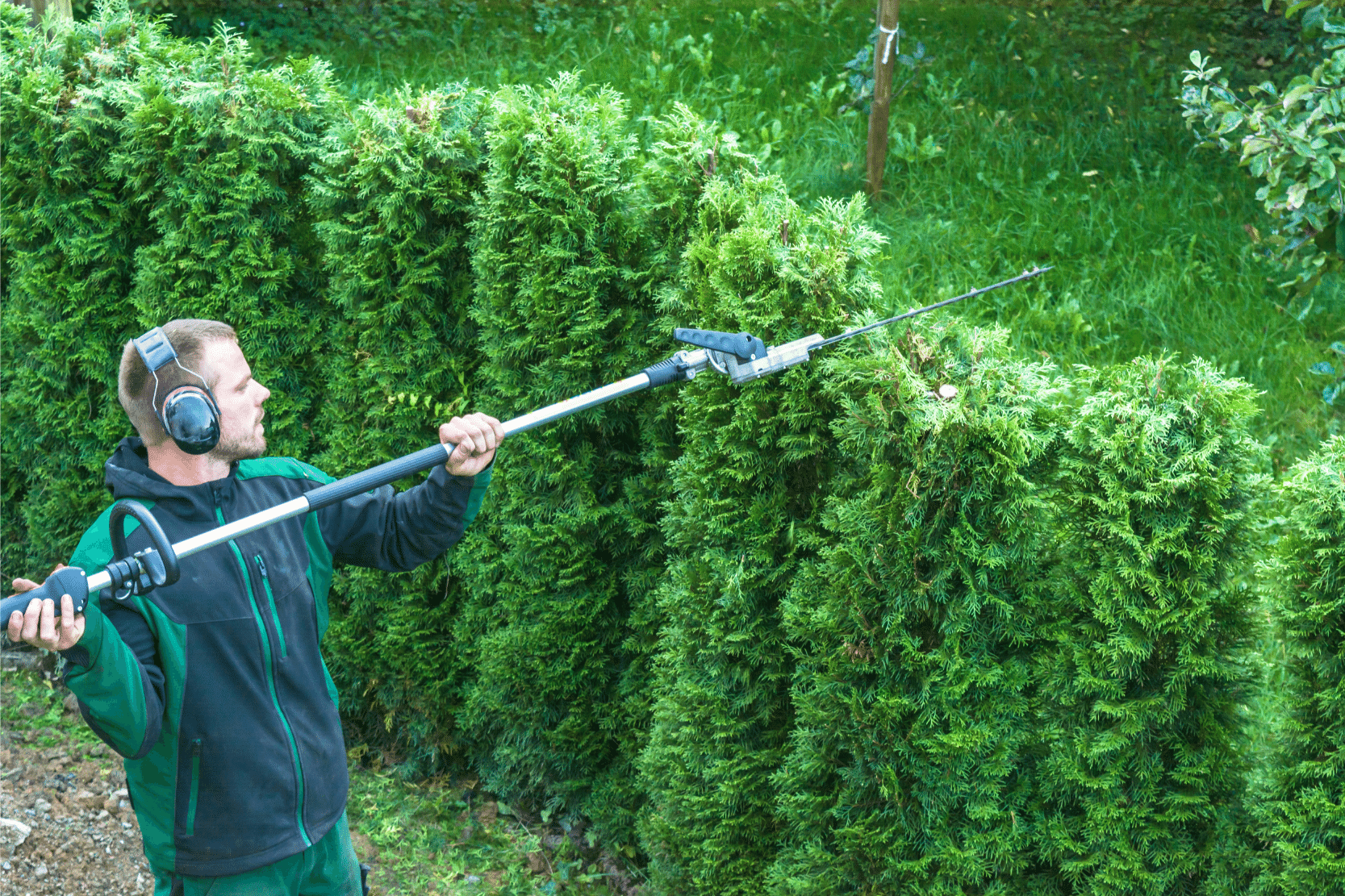 hedge trimming being carried out in Folkestone