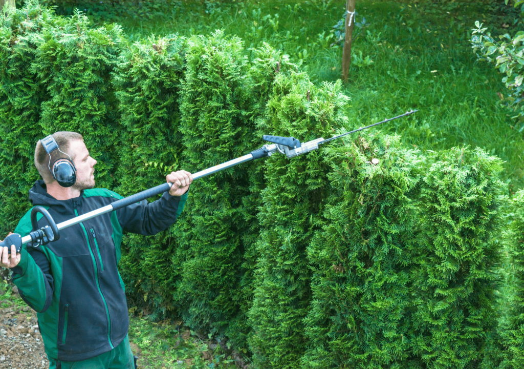 hedge trimming being carried out in Folkestone